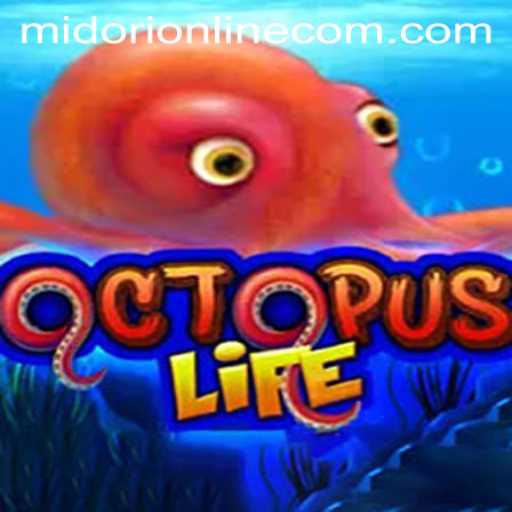OctopusLife: Dive into the Exciting World of Midori Online Casino